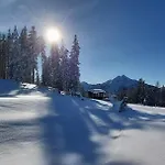 Apartamento Michis Flachau