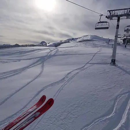 Michis * Flachau