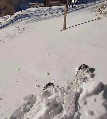 Michis Lejlighed Flachau