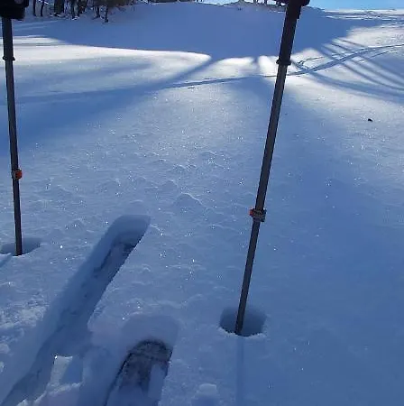 Lejlighed Michis Flachau