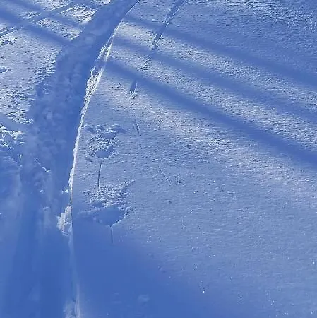 Michis Lejlighed Flachau