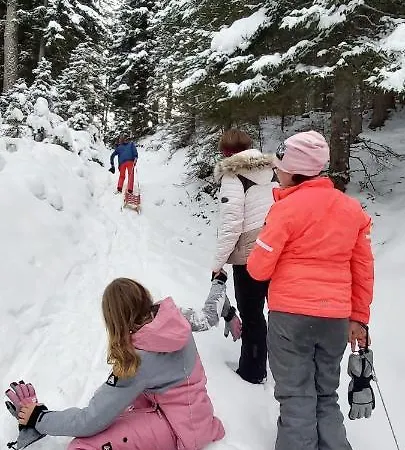 Lägenhet Michis Flachau