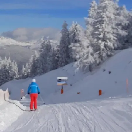 Lejlighed Michis Flachau