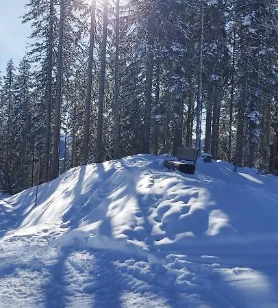 Lägenhet Michis Flachau