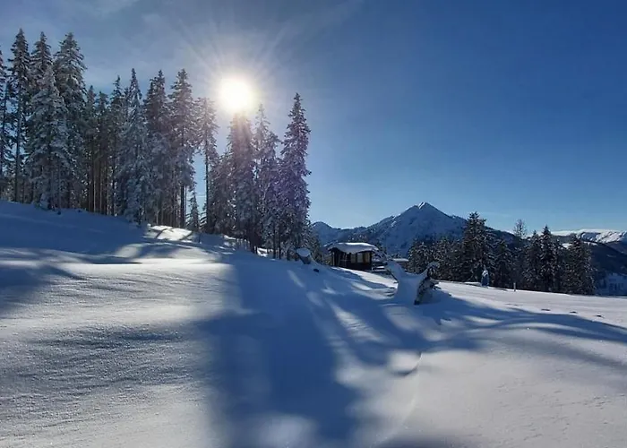 Lägenhet Michis Flachau