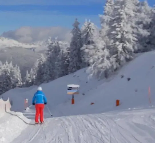 Lägenhet Michis Flachau