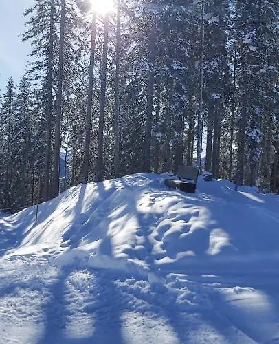 Lägenhet Michis Flachau